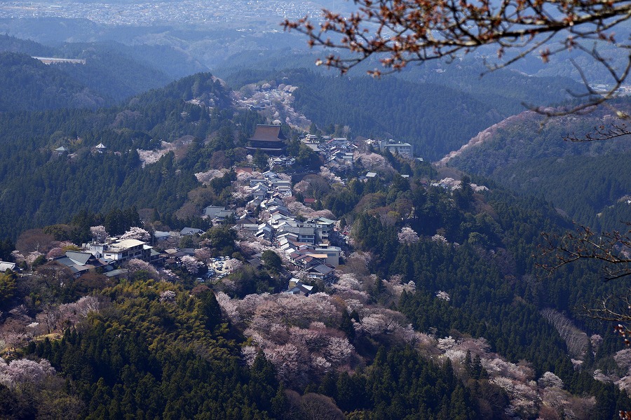 朝廷分裂 南朝と北朝が対立した 南北朝時代 の全貌をズバッと解説